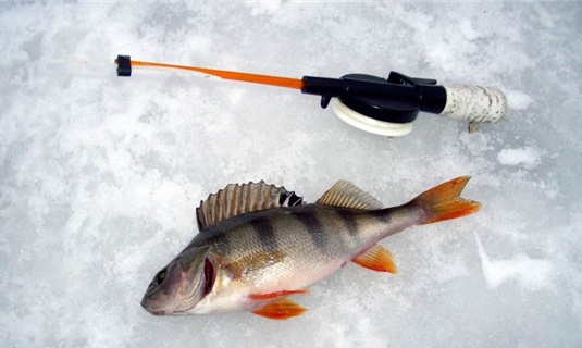 рыбалка со льда на окуня